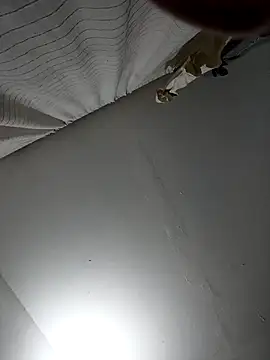 naughtygoddesss  online show from February 2026 04:10:02 AM