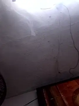 KARNEs24666 online show from January 2026 04:16:02 AM