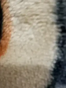 Radhaji88 online show from November 2025 02:12:01 PM