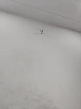 Radhaji88 online show from January 2026 06:55:01 PM