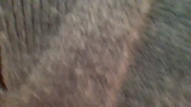 metissjeunn online show from February 2026 05:43:02 PM