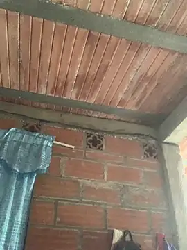 Megan2026 online show from November 2025 06:09:01 PM