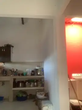 Megan2026 online show from December 2025 02:38:01 PM