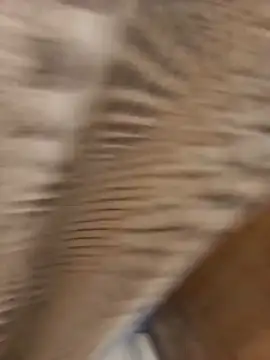 duoresex online show from November 2025 02:10:01 PM