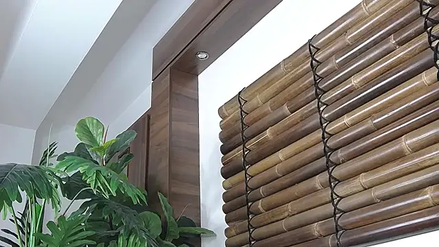 FayeSlate online show from November 2025 05:00:02 AM