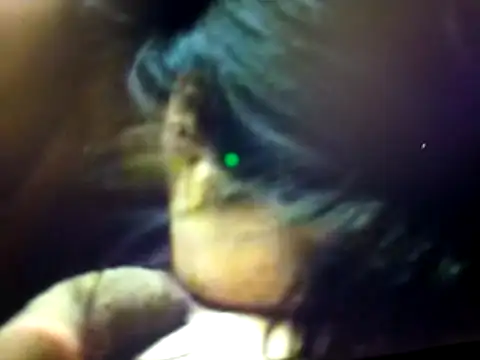 BdTinyDick online show from March 2026 07:58:01 PM