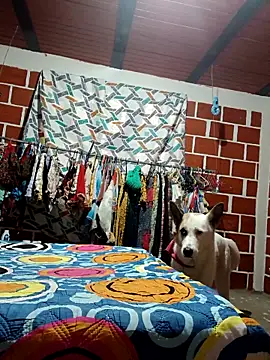 PaulinaLondra2 online show from December 2025 12:07:01 PM