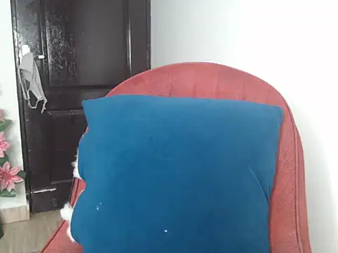 Sexy Annii online show from December 2025 12:11:01 AM