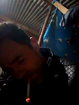 Arceusi online show from November 2025 06:40:02 AM