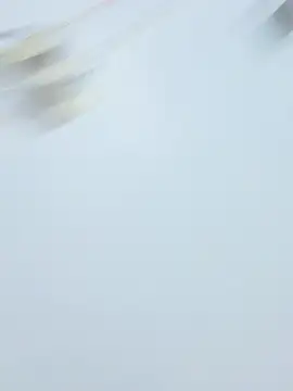 sexylove19 online show from February 2026 01:55:01 PM