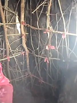 Jooli cuty online show from February 2026 11:12:02 AM