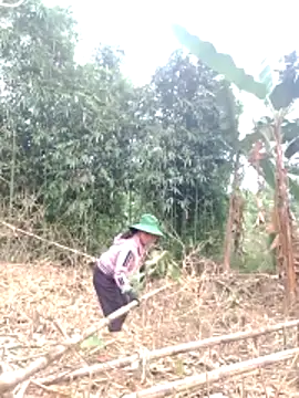 Snapshot of be-yeu chatting on December 2025 01:39:01 AM be-yeu online show from December 2025 01:39:01 AM