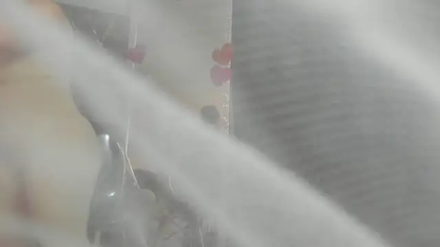 clara heat online show from March 2026 06:54:01 PM