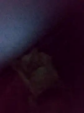 Snapshot of Drian1010 chatting on November 2025 05:44:01 AM Drian1010 online show from November 2025 05:44:01 AM