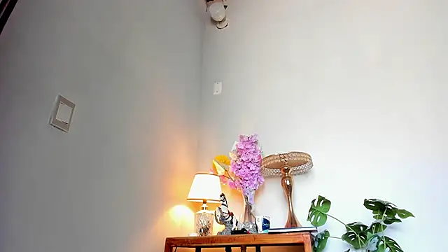 lucian davii online show from February 2026 04:40:01 PM