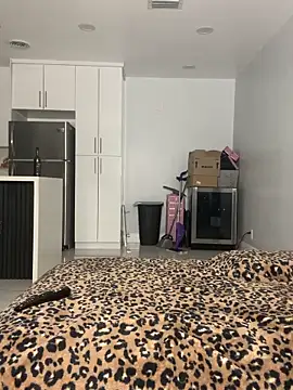 PrincessDreamm online show from May 2026 11:57:02 PM