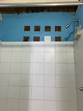 meliodas 23cm online show from December 2025 02:16:02 AM