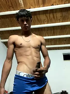 meliodas 23cm online show from November 2025 02:33:02 AM