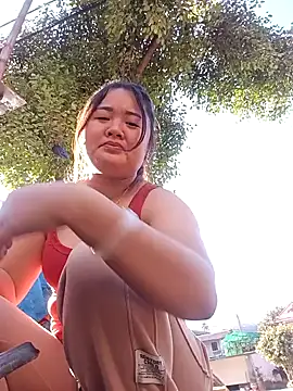 Bee-bgolden online show from November 2025 07:30:01 AM