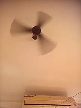 Snapshot of RubyEntity chatting on November 2025 05:33:01 AM RubyEntity online show from November 2025 05:33:01 AM