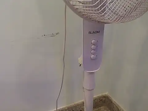 hootypriya online show from February 2026 05:13:02 PM