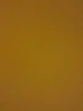 kentojp online show from November 2025 01:48:01 PM