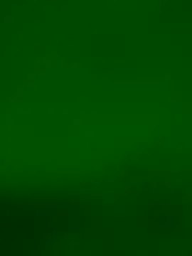 violettabond online show from December 2025 11:20:01 PM