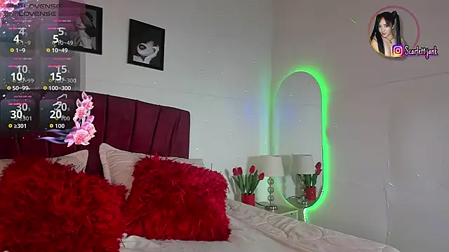 Snapshot of Scarlett_Jank chatting on February 2026 07:47:01 PM Scarlett Jank online show from February 2026 07:47:01 PM