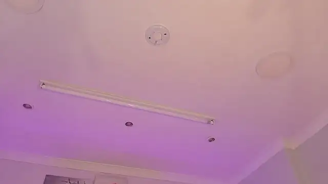 Taylor walton online show from February 2026 12:16:01 PM