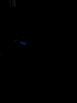 Snapshot of Darkkknet chatting on November 2025 10:36:01 PM Darkkknet online show from November 2025 10:36:01 PM