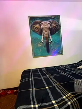 alisaa jhons1 online show from November 2025 01:17:01 AM