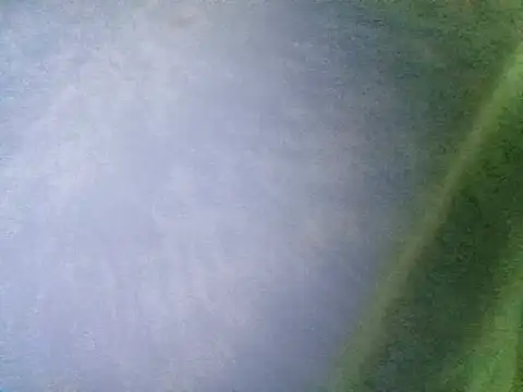 Ramzes1992Analog online show from November 2025 12:58:02 AM