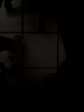 drpapi1942 online show from November 2025 06:02:01 PM