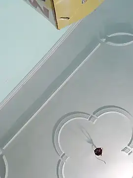 sanjana077 online show from November 2025 06:14:01 AM