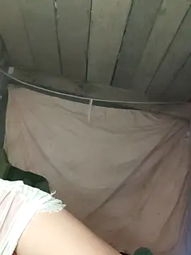 Snapshot of bibo-sex chatting on November 2025 11:37:01 AM bibo-sex online show from November 2025 11:37:01 AM