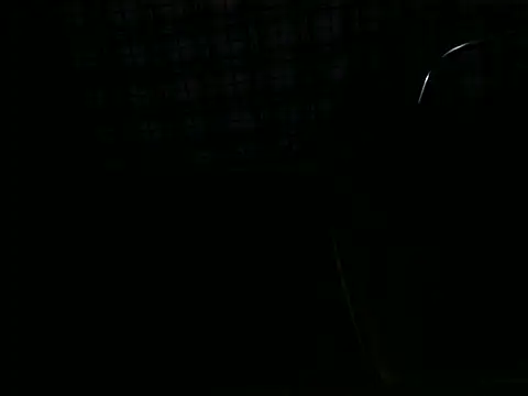 ellsaBunny online show from November 2025 01:31:02 AM