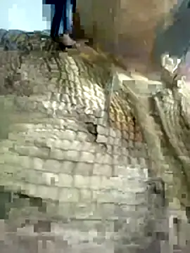 Nishi-3 online show from January 2026 12:31:01 PM