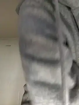 SITHANDRAH online show from January 2026 01:47:02 PM