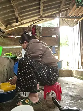 Dilen 7533 online show from November 2025 12:55:01 AM