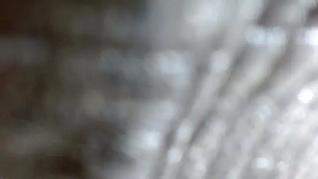 the breasts of desir  online show from November 2025 07:25:02 PM