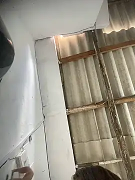 Snapshot of Mari2419 chatting on November 2025 12:16:01 PM Mari2419 online show from November 2025 12:16:01 PM