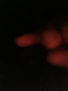bruno 324278 online show from May 2026 04:05:02 AM