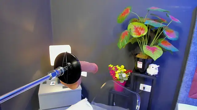 Amy whittee online show from April 2026 03:43:02 AM