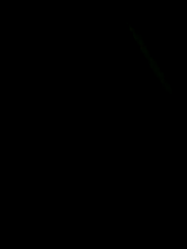ParlousCarpet online show from May 2026 08:01:02 PM