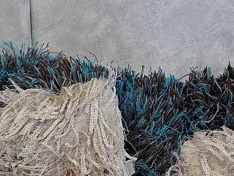 LannyShell online show from November 2025 05:24:01 PM