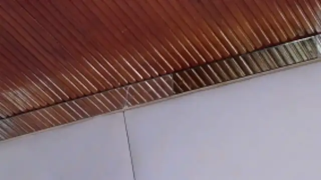 LannyShell online show from February 2026 05:24:02 PM