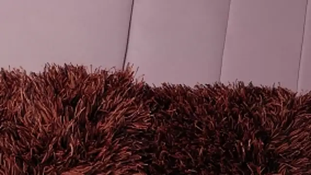 LannyShell online show from March 2026 05:00:01 PM