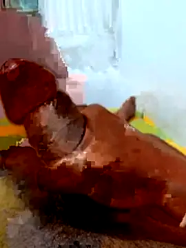 crazy boy55 online show from February 2026 05:35:01 PM