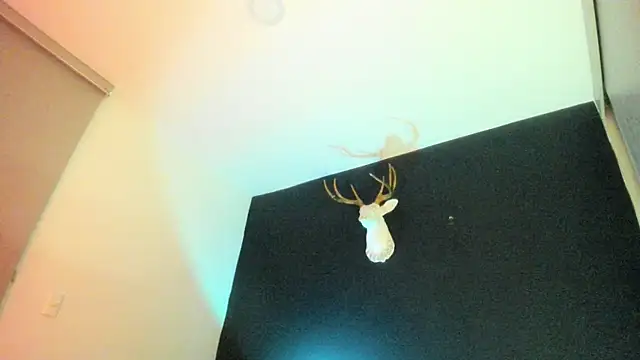 Zeus Jeff online show from February 2026 01:35:02 AM