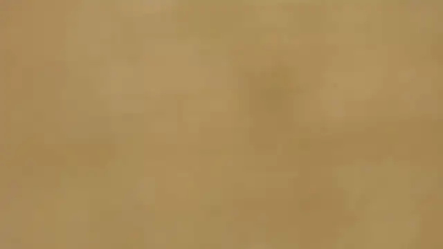 quenn-squirtanal online show from March 2026 04:38:01 PM